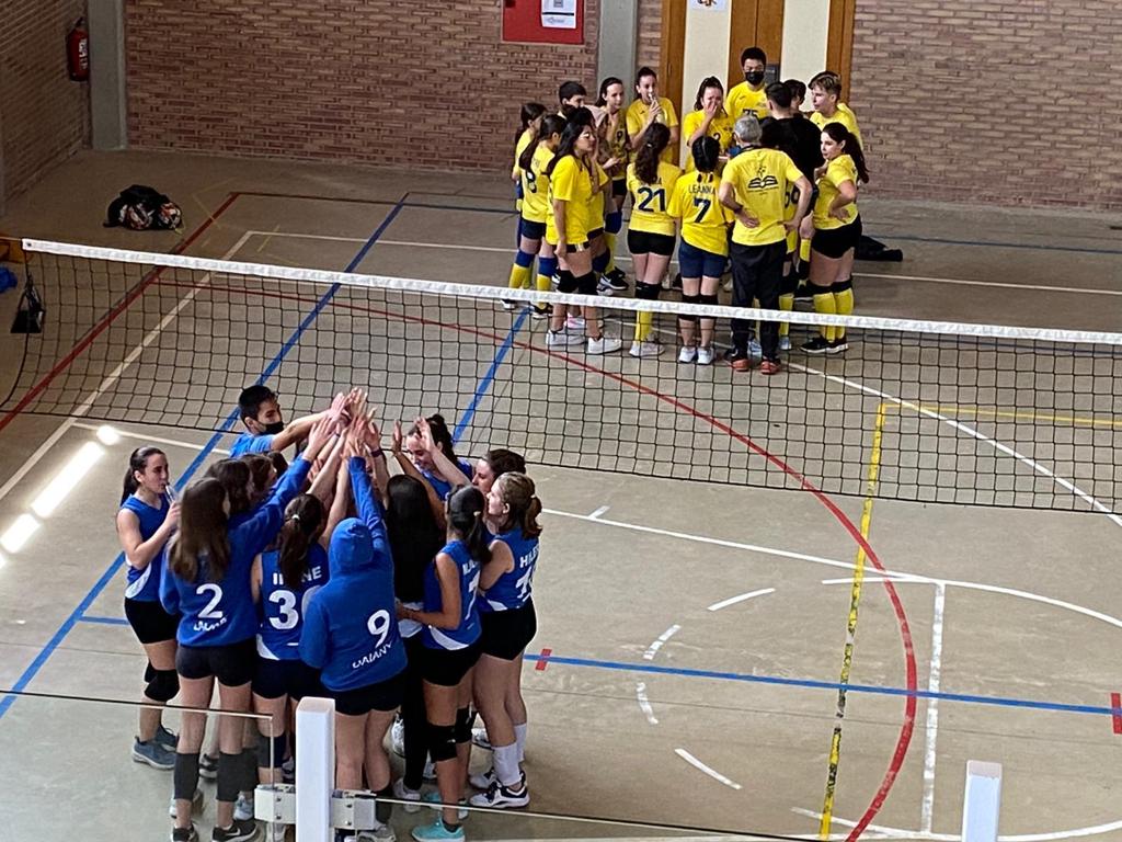 voleibol